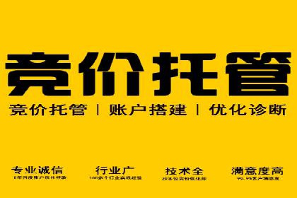 百度推广广告案例：快速抢占市场份额
